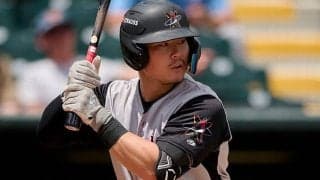 ド軍が日系3世の元ドラ1を獲得…米報道　昨季3Aで21発、マイナー契約でキャンプ招待