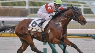 【雲雀S】セレクト2.1億円のフィエールマン産駒 ダノンセンチュリーが3連勝でオープン入り狙う