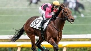 【共同通信杯枠順確定】ラヴェニューは8枠8番、ロブチェンは6枠6番