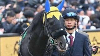 【バレンタインS】半姉はディアドラ 23年きさらぎ賞馬フリームファクシが約1年ぶりの復帰戦だ
