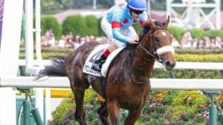 【箱根特別】名牝アーモンドアイの初仔 アロンズロッドが特別競走初勝利なるか