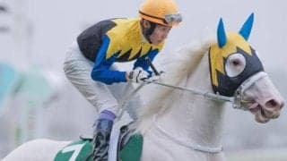 今週の武豊騎手は11鞍 白毛のマルガでクイーンSの21年ぶり4勝目なるか