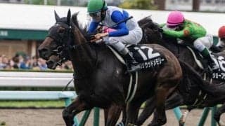 全兄はGI・2勝のダノンスマッシュ ハリウッドメモリーが3勝目狙う