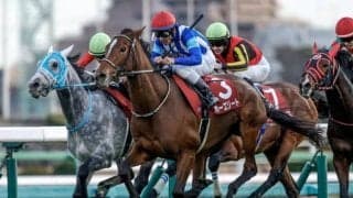 【ダイヤモンドS想定馬・騎手】ホーエリート、スティンガーグラスなど16頭