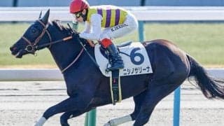 東京芝はシルバーステート産駒に要注意 クイーンCはニシノサリーナを狙い撃ち