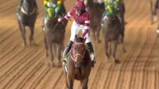 【サウジカップ】2連覇狙う“圧倒的人気”フォーエバーヤングに死角はあるのか？ 福永祐一氏が注目するポイント「どの程度の仕上げで…」