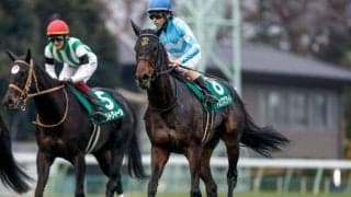 【阪急杯想定馬・騎手】ドロップオブライト、ディアナザールなど19頭