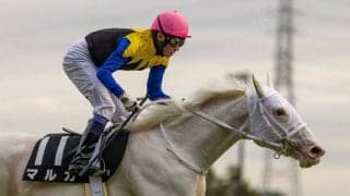 【武豊日記】色んな意味で難しい時期です