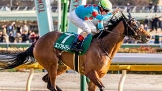 クイーンCは上位人気が堅実 注目データは“前走レース間隔”