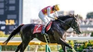 【小倉JS予想】「11」の障害が待ち受ける難コース 好走には先行力が求められる