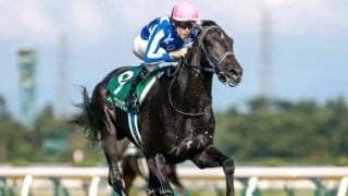 【共同通信杯予想】上がりの速い決着に対応できる馬が有利!? 切れ味に不安を感じる軽視したい人気馬とは