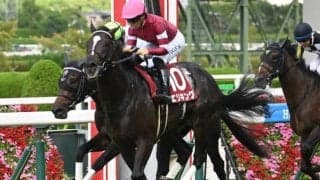 【京都記念前日オッズ】エリキングが1.9倍で1番人気