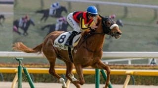 【東京6R】フォーエバーヤング半妹が初勝利！ダーリングハーストが快勝