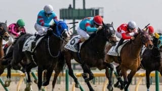 【東京5R】単勝1.4倍サンデースマッシュが断然の支持に応える