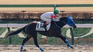 【新馬/東京4R】ロケットスタートから独走V！ノースブルースカイが鮮やか逃げ切り