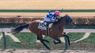 【東京3R】キング騎乗 リアライズタキオンがV…単勝1.3倍イナズマダイモンは5戦連続の2着