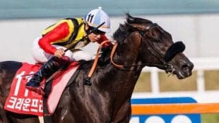 韓国で種牡馬入り！クラウンプライドが登録を抹消