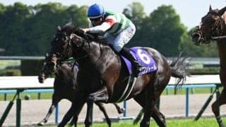 【AI予想・京都記念】長欠明けもひと追いごとに確実に良化！ 人工知能はGI馬の能力を素直に信頼