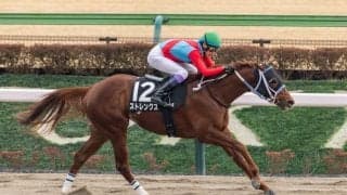 【銀蹄S】武豊ストレングスが抜け出す…2馬身半差完勝