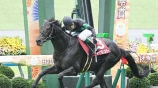 【アミールT結果】8歳のディープモンスターが海外重賞初制覇！