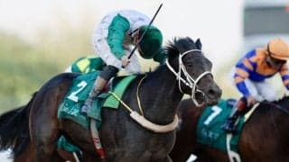 【サウジダービー】サトノボヤージュが日本勢最先着の3着…地元アルハラムが差し切りV