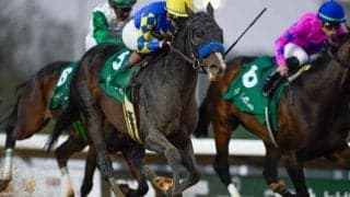 【リヤドダートスプリント結果】米国のイマジネーションがV 日本勢はアメリカンステージの4着が最高