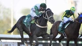 【サウジダービー結果】地元のアルハラムが差し切りV 日本勢はサトノボヤージュが3着