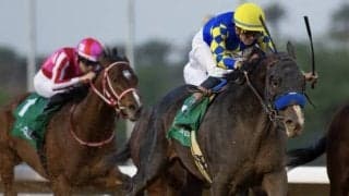 【リヤドダートスプリント】米イマジネーションが直線ごぼう抜き…アメリカンステージは4着