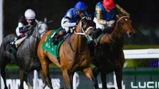 【1351ターフスプリント結果】米国のリーフランナーがV 日本勢はパンジャタワーの5着が最高