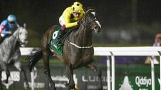 【ネオムターフC結果】英国の8歳馬ロイヤルチャンピオンが圧勝 シンエンペラー連覇ならず4着