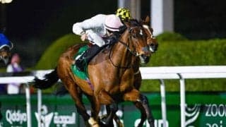 【レッドシーターフH結果】愛国のサンズアンドラバーズがV 日本勢は着外