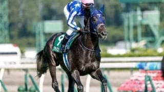 【共同通信杯予想】皐月賞やダービーにつながる出世レース