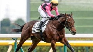 【共同通信杯予想】今年も前走新馬戦からの一発ある？ 過去データから探るGIII共同通信杯