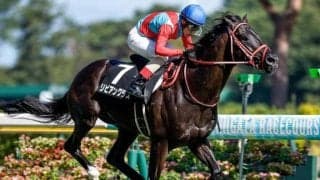 京都記念は前残りに要注意 リビアングラス＆エコロディノスが狙い目だ