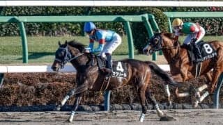 【大井・雲取賞枠順】連勝中のマクリールは7枠13番、ハイセイコー記念Vのゼーロスは3枠5番