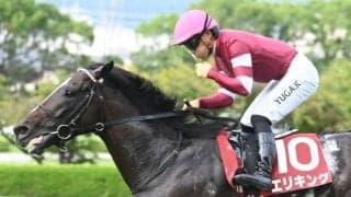 【京都記念・馬体重】エリキングは516kg(+8)、ヘデントールは482kg(+4)