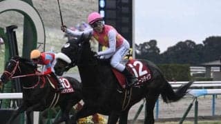 【JRA・WIN5】売上62億超で歴代最高を更新、的中3159票も配当は155万9760円