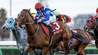 【ダイヤモンドS】ホーエリート、スティンガーグラスらが登録