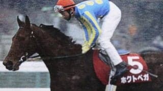 ホクトベガの快走から30年 唯一の中央ダート重賞制覇となった96年フェブラリーS