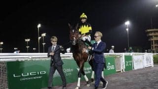 【1351ターフスプリント】パンジャタワー5着、力は出し切るもあと一歩…橋口師「距離なのか止まってしまいました」