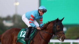 【リヤドダートスプリント】タフな馬場に苦戦…ガビーズシスター6着、ドンアミティエ7着、ヤマニンチェルキ12着