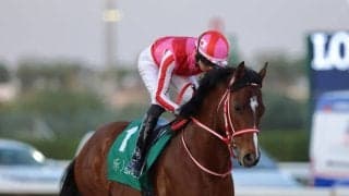 【リヤドダートスプリント】坂井瑠「スムーズなレースでした」アメリカンステージは見せ場十分の4着