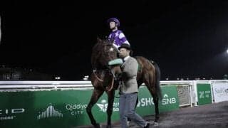 【サウジカップ】スムーズに運ぶも直線ひと押し利かず…サンライズジパングは6着