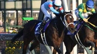 今年最初のGI・フェブラリーSなど4重賞/今週の競馬界の見どころ