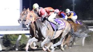 【高知・だるま夕日賞】止まらないオタマジャクシ、圧巻6連勝