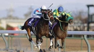 【フェブラリーS登録馬】豪華な顔ぶれ！ダブルハートボンドなど22頭