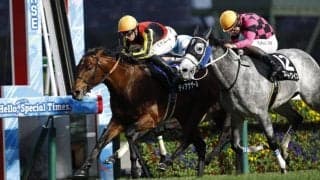 【阪急杯】3連勝中ディアナザールなど18頭