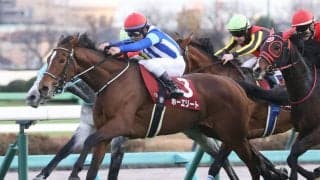 【ダイヤモンドS登録馬】スタミナ自慢集結！ホーエリートなど15頭