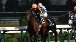 【阪急杯見どころ】連勝で勢い十分のディアナザールが重賞を制すか