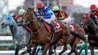 【ダイヤモンドS見どころ】今年は更に大きな舞台へ向かうホーエリート